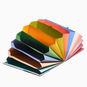 POKETO Accordion Pro Filer in Large -12 Pocket Filer
