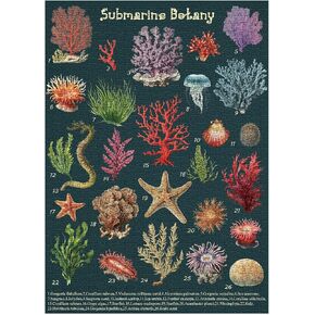 Vintage Ocean Plant Puzzle 1000 Piece for Adults, Retro Botanical Beach Jellyfish Seashell Jigsaw Puzzles, Nautical Sea Life Reef Coral Puzzle