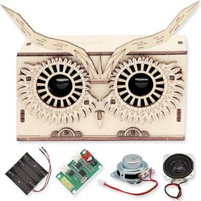 بناء طقم مكبر الصوت DIY Bluetooth ، مشاريع STEM للأطفال الذين تتراوح أعمارهم بين 8 و 12 عامًا ، مجموعات علمية للأطفال من سن 12-14 ، هدية للأولاد المراهقين 10 11 12 13 14 15 16 16