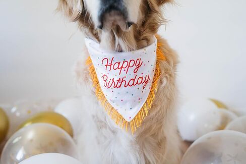ZippyPaws Dog Birthday Gift Bandana & Bone - Cute Accessories for Girl & Boy Dogs, Holiday Set, Fits Small, Medium, & Large Dogs, Stuffed Plush Toy, Machine Washable Handkerchief - One Size Fits Most in Saudi Arabia