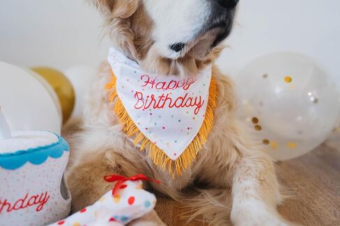 ZippyPaws Dog Birthday Gift Bandana & Bone - Cute Accessories for Girl & Boy Dogs, Holiday Set, Fits Small, Medium, & Large Dogs, Stuffed Plush Toy, Machine Washable Handkerchief - One Size Fits Most in Saudi Arabia