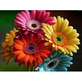 QAZWSX 5D Diamond Painting Kits for Adults DIY Full Drill Rhinestone Paintings Canvas Arts and Crafts for Home Decor 12x16 Inch Colorful Daisies