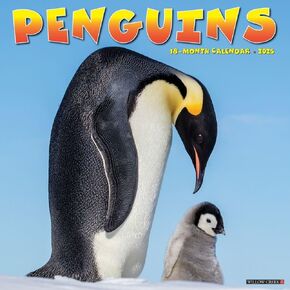 Willow Creek Press Penguins Monthly 2025 Wall Calendar (12" x 12")
