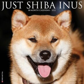 Shiba Inus 2025 12" x 12" Wall Calendar