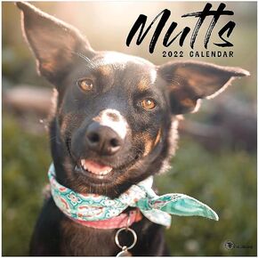TF PUBLISHING - 2022 Mutts Wall Calendar - Home and Office Organizer - Large Monthly Grid for Planning and Schedules - 4 Bonus Months - 12"x12"