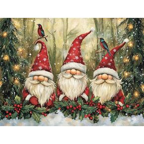 Ginfonr DIY 5D Diamond Art Kits for Adults, Christmas Diamond Painting for Adults, Diamond Art Gnomes Full Drill, Diamond Art Kits Embroidery Rhinestone Craft for Home Wall Decor 12 * 16 Inch8188