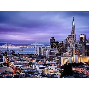 UPABLUNSO Round Diamond Painting Crafts Diamond Art Night San Francisco California Bay Bridge Crystal Diamond Painting Kits 12x16 Inch