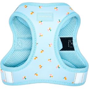 No Pull Harness for Small, Medium, Large Dogs, Heavy Duty, Adjustable, Breathable, Soft, Cute, Reflective, Dog Harness, Dog Vest, Pet Harness (Dinosaurs, Extra Small)