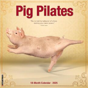 Pig Pilates 2025 12" x 12" Wall Calendar