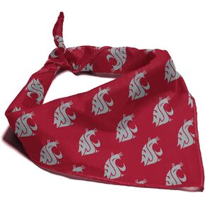 NCAA Officially Licensed Bandana for Dogs and Cats | Fits Pets Great Gift Idea | Easy-to-Tie (Large, Wisconsin Badgers)