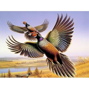 Kaliosy 5D Diamond Art Painting Pheasant by Number Kits, Paint with Diamonds Art Animals DIY Full Drill, Crystal Craft Cross Stitch Embroidery Decoration 30x40CM?12x16inch?