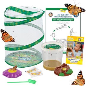 Insect Lore Butterfly Garden | As Seen On TV | 10 Live Baby Caterpillars, Habitat, Journal, Life Cycle Figurines, Seeds, Stickers, Feeder, Chrys-A-Lid Logs | Raise and Release Painted Lady Butterflies