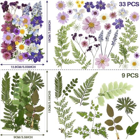 Nuanchu Pressed Flowers Bulk Dried Flower for Crafts, Dried Flower Leave Natural with Tweezer for Resin Mold Scrapbooking DIY (Rustic Style) in Saudi Arabia