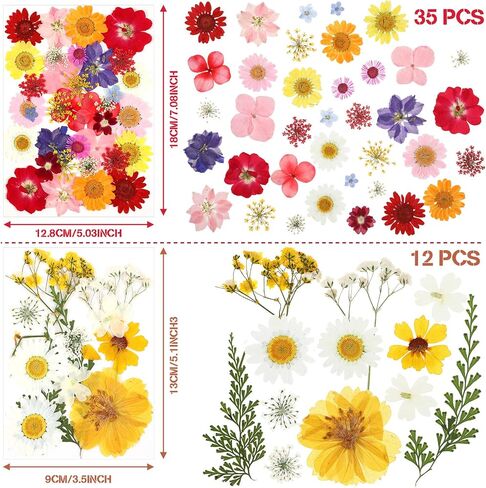 Nuanchu Pressed Flowers Bulk Dried Flower for Crafts, Dried Flower Leave Natural with Tweezer for Resin Mold Scrapbooking DIY (Rustic Style) in Saudi Arabia