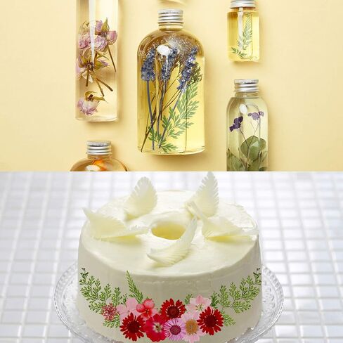 Nuanchu Pressed Flowers Bulk Dried Flower for Crafts, Dried Flower Leave Natural with Tweezer for Resin Mold Scrapbooking DIY (Rustic Style) in Saudi Arabia