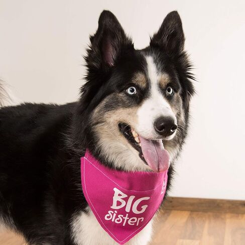 Pavilion Gift Company Big Sister Pink Paw Print Large Dog Slip on The Collar Bandanna in Saudi Arabia