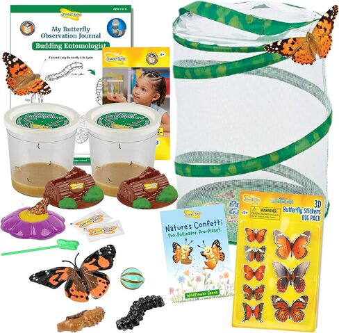 Insect Lore Butterfly Garden | As Seen On TV | 10 Live Baby Caterpillars, Habitat, Journal, Life Cycle Figurines, Seeds, Stickers, Feeder, Chrys-A-Lid Logs | Raise and Release Painted Lady Butterflies in Saudi Arabia