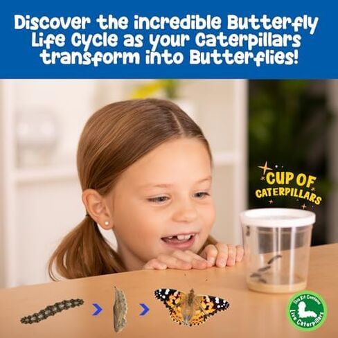 Insect Lore Butterfly Garden | As Seen On TV | 10 Live Baby Caterpillars, Habitat, Journal, Life Cycle Figurines, Seeds, Stickers, Feeder, Chrys-A-Lid Logs | Raise and Release Painted Lady Butterflies in Saudi Arabia