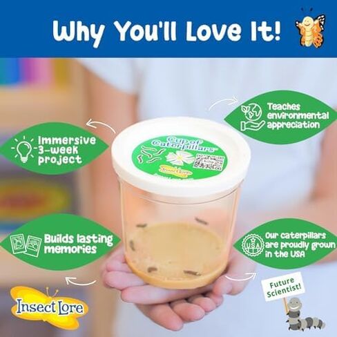 Insect Lore Butterfly Garden | As Seen On TV | 10 Live Baby Caterpillars, Habitat, Journal, Life Cycle Figurines, Seeds, Stickers, Feeder, Chrys-A-Lid Logs | Raise and Release Painted Lady Butterflies in Saudi Arabia