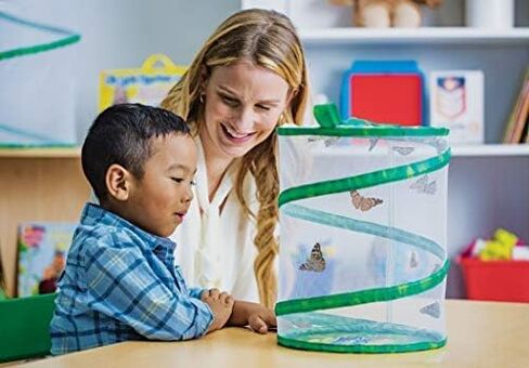 Insect Lore Butterfly Garden | As Seen On TV | 10 Live Baby Caterpillars, Habitat, Journal, Life Cycle Figurines, Seeds, Stickers, Feeder, Chrys-A-Lid Logs | Raise and Release Painted Lady Butterflies in Saudi Arabia