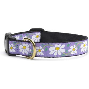 Daisy Dog Collar by Up Country - Medium