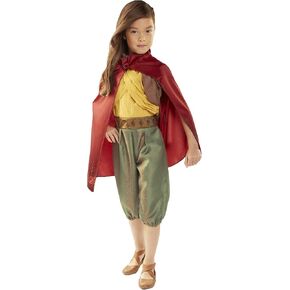 Disney's Raya and the Last Dragon Disney Raya and The Last Dragon Warrior Costume Outfit with Cape for Girls Size 4-6X [Amazon Exclusive] Brown