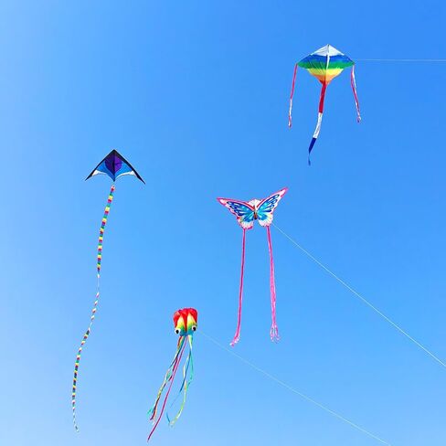 Kites for Kids & Adults, Beach Kites Set for Beginners, Easy to Fly Large Kites Pack for Boys and Girls, Kite String Included, Perfect for Outdoor Activities in Kuwait