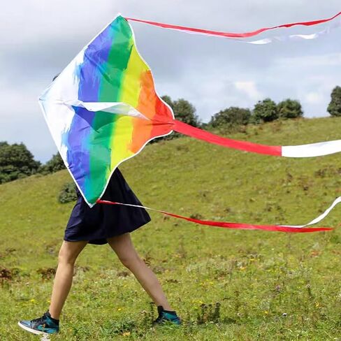 Kites for Kids & Adults, Beach Kites Set for Beginners, Easy to Fly Large Kites Pack for Boys and Girls, Kite String Included, Perfect for Outdoor Activities in Kuwait