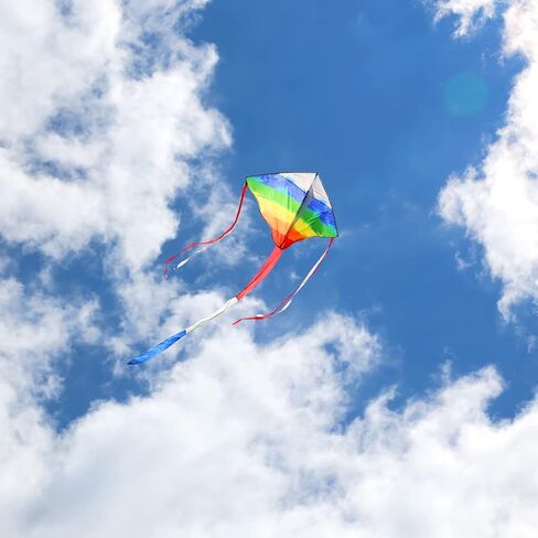 Kites for Kids & Adults, Beach Kites Set for Beginners, Easy to Fly Large Kites Pack for Boys and Girls, Kite String Included, Perfect for Outdoor Activities in Kuwait