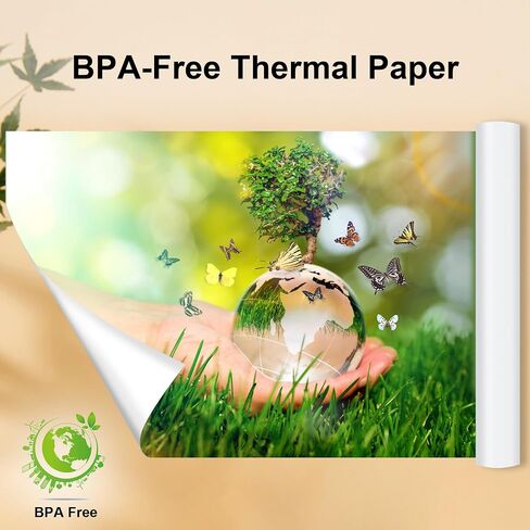 4 Rolls 8.5'' x 11'' Phomemo Portable Printer Thermal Paper,US Letter Size, Thermal Roll Paper Compatible with M832 M833 M834 M835 in Kuwait