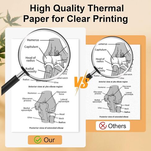 4 Rolls 8.5'' x 11'' Phomemo Portable Printer Thermal Paper,US Letter Size, Thermal Roll Paper Compatible with M832 M833 M834 M835 in Kuwait