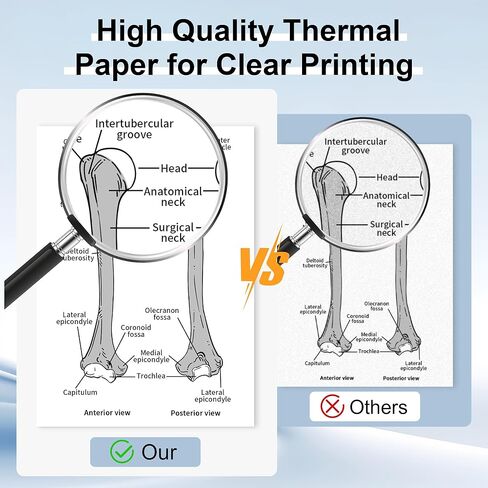 4 Rolls 8.5'' x 11'' Phomemo Portable Printer Thermal Paper,US Letter Size, Thermal Roll Paper Compatible with M832 M833 M834 M835 in Kuwait