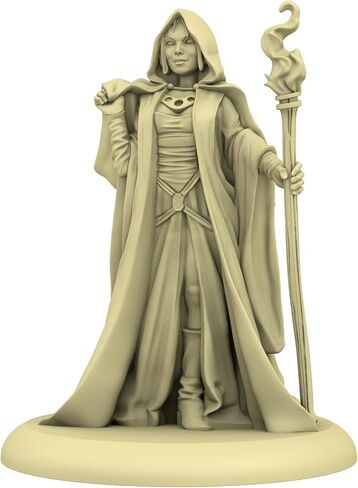 Cmon A Song of Ice and Fire Tabletop Miniatures Game Baratheon King's Men Unit Box (الإصدار متعدد اللغات) - لعبة استراتيجية للبالغين ، تتراوح أعمارهم بين 14+ ، 2+ لاعبين ، 45-60 دقيقة ، صنع in Kuwait