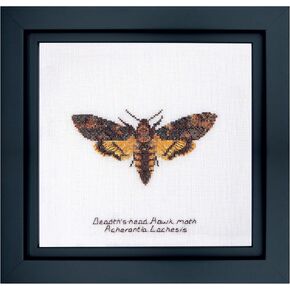 Thea Gouverneur - Counted Cross Stitch Kit - Death's-head Hawk moth - Aida - 16 count - Embroidery Kit for Adults - DMC Embroidery Threads and other Cross Stitch Supplies Included - 563A