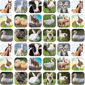 Seajan 600 Pcs Farm Animal Stickers for Kids Farm Animals Photos Stickers Realistic Animal Stickers Cow Pig Duck Rabbits Chick Stickers for Classroom Barnyard Friends Theme Party Favor