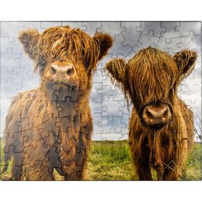 MyPuzzle Two Highland Cows - Premium 1000 Piece Jigsaw Puzzle for Adults