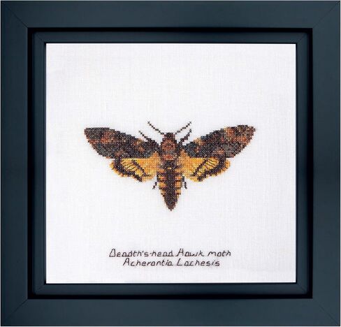 Thea Gouverneur - Counted Cross Stitch Kit - Death's-head Hawk moth - Aida - 16 count - Embroidery Kit for Adults - DMC Embroidery Threads and other Cross Stitch Supplies Included - 563A in Kuwait
