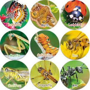 600 Pieces Insect Stickers for Kids, Spring Bugs Party Theme Label Stickers Decals Early Education Teaching Supplies for Classroom Home Rewards Party Favor, 1.38 Inches