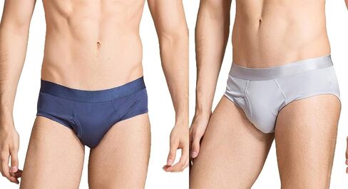 Men's 2Pairs Knitted Pure Silk Briefs Underwear Panties Soft Smooth Healthy Basic Briefs Double Silk Crotch in Saudi Arabia