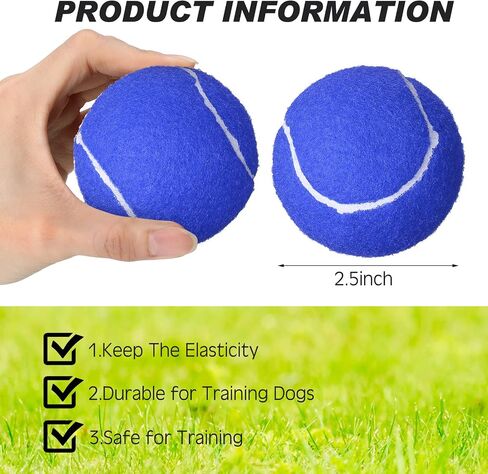 48 Pcs Standard Pressure Tennis Balls Bulk, Training Tennis Balls Practice Playing Balls for Player Beginner Youth Training Sports Ball, 2.5 Inch (Blue) in Saudi Arabia