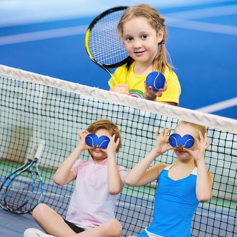 48 Pcs Standard Pressure Tennis Balls Bulk, Training Tennis Balls Practice Playing Balls for Player Beginner Youth Training Sports Ball, 2.5 Inch (Blue) in Saudi Arabia