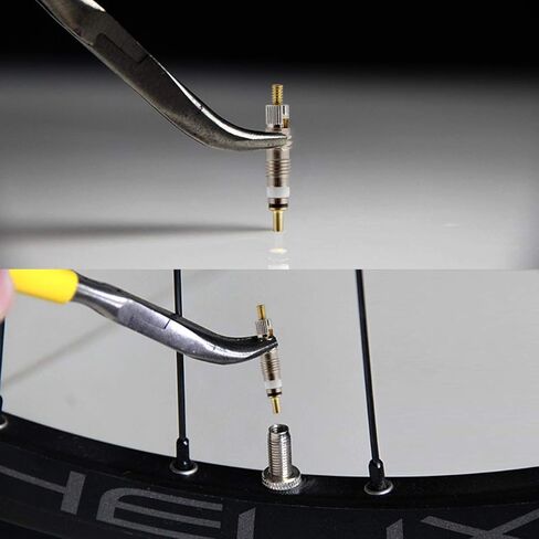 قلب صمام بريستا (12 حزمة) - قلب نحاسي بديل بدون أنابيب مع أداة إزالة مجانية لدراجات الطرق وMTB والمزيد (12 عبوة نحاسية) in Kuwait