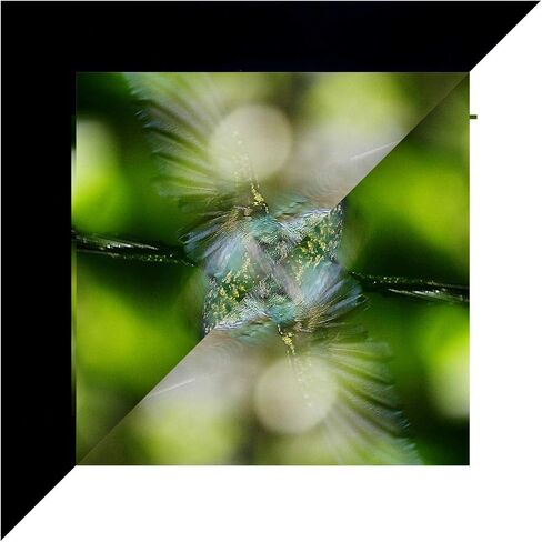 1 in x 60 ft - Vibrancy Enhancing Projector Screen Felt Tape Border Deepest Black Ultra High Contrast Flocking for DIY Screen Borders Absorbs Light, Brightens Image & Stops Bleed in Saudi Arabia