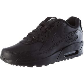 Nike Air Max 90 (Big Kid)