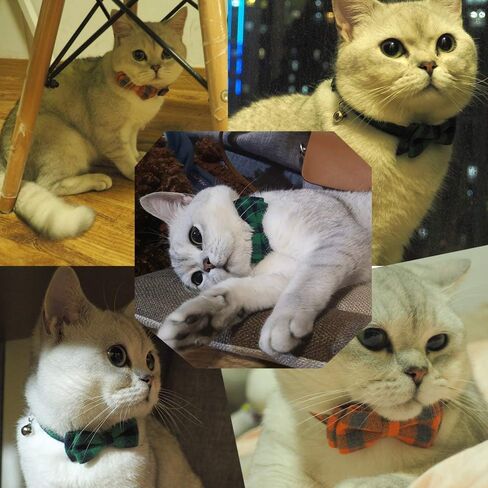 Cat Collar Bowtie with Bell, Quick Release Buckle Safety and Durable Kitties Kittens Cats Breakaway Collar Set of 2 PCS(6.8-10.8in) (Camouflage 1&Camouflage 2) in Kuwait
