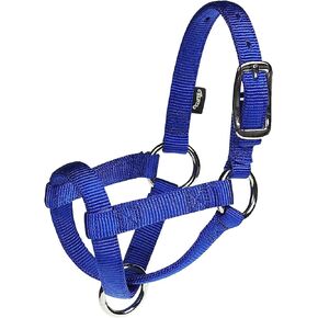 Weaver Leather unisex adult Livestock Llama Nylon Halter Blue Small, Blue, Small