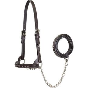 Derby Originals New and Improved Premium Show Spotted Flat Leather Cattle Show Halter with Matching Chain Lead