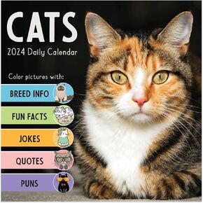 TF PUBLISHING 2024 تقويم سطح المكتب اليومي Cat A Day | تنظيم المنزل والمكتب | أكثر من 300 صفحة سهلة التمزيق بالألوان الكاملة | حامل مرفق من الورق المقوى قابل للطي للمكاتب | 5.25 بوصة × 5.25 بوصة in Kuwait