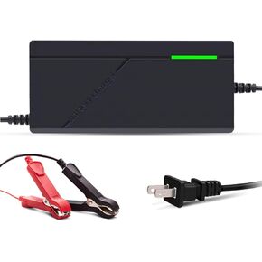 14.6V 10A LiFePO4 Battery Charger Special for 12V LiFePO4 Battery, Trickle Charger for Lithium Iron Phosphate Battery, Battery Maintainer, Built-in Safety Protections, Support Fast Charging