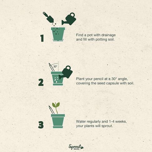 أقلام رصاص بعلبة خشبية | الطبعة الأصلية | أقلام رصاص خشبية قابلة للزراعة من الجرافيت مشحذ مسبقًا من HB مع بذور الزهور والأعشاب والخضروات | هدية مثالية للرسم والرسم والتظليل | 8 عبوات in Kuwait